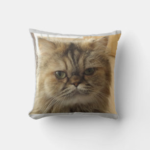 COJÍN DECORATIVO de PERSONALIZADO de FOTOS CAT