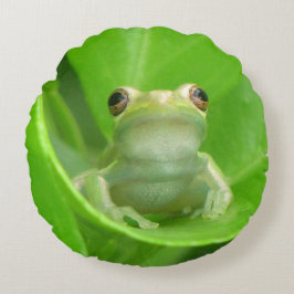 Cojín decorativo de rana de árbol verde
