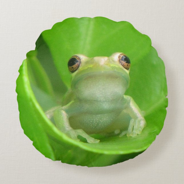 Cojín decorativo de rana de árbol verde (Anverso)