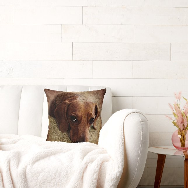 Cojín decorativo de retrato de Dachshund (Subido por el creador)