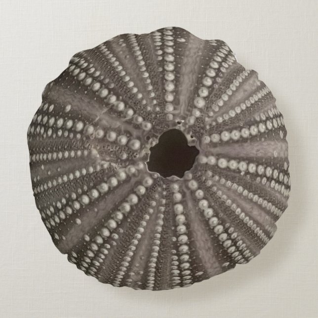 Cojín decorativo de Urchin del Mar Púrpura (Reverso)