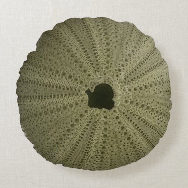 Cojín decorativo de Urchin del Mar Verde (Anverso)