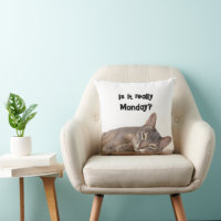 ¿De Verdad Es Lunes? Gracioso meme de gato abysini