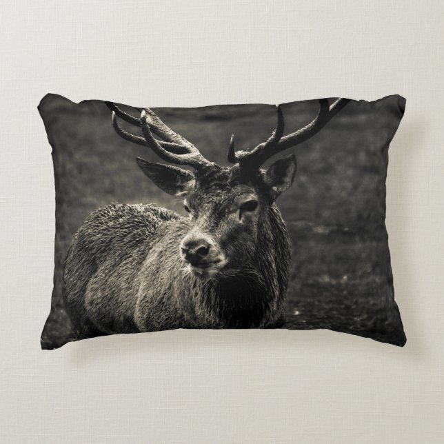 COJÍN DECORATIVO DEER 12 PUNTO BUCK (Anverso)