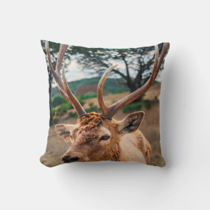 COJÍN DECORATIVO DEER EN EL CAMPO DE GRASA MARRÓN BAJO CIELO GRIS
