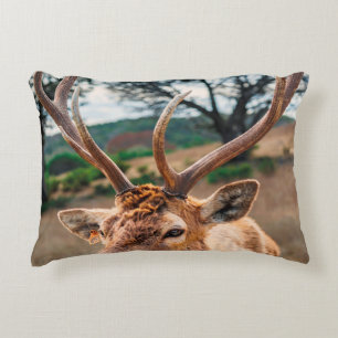 COJÍN DECORATIVO DEER EN EL CAMPO DE GRASA MARRÓN BAJO CIELO GRIS