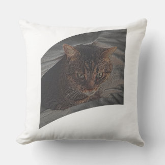 Cojín Decorativo Dejar que el gato descanse