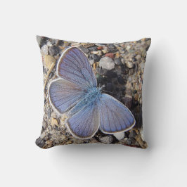 Cojín Decorativo Dekokissen blauer Schmetterling