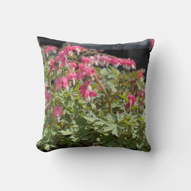 Cojín decorativo del corazón sangrante (Anverso)