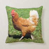Cojín decorativo del gallo