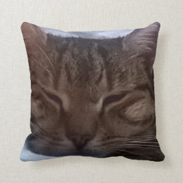 Cojín decorativo del gato