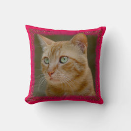 Cojín decorativo del gato del jengibre