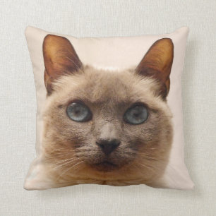 Cojín decorativo del gato siamés