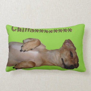 Cojín decorativo del Lumbar de Chillaxin Chiweeni