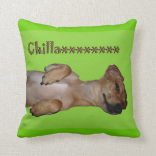 Cojín decorativo del Lumbar de Chillaxin Chiweeni
