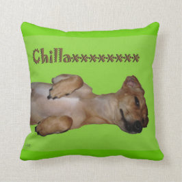 Cojín decorativo del Lumbar de Chillaxin Chiweenie