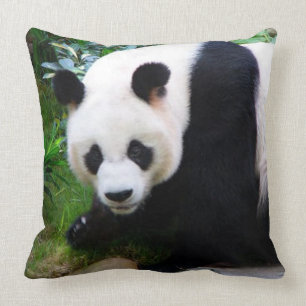 Cojín decorativo del oso de panda