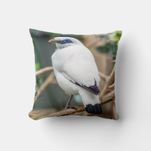 Cojín decorativo del pájaro de Bali Myna