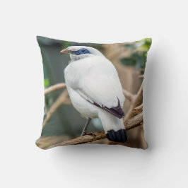 Cojín decorativo del pájaro de Bali Myna