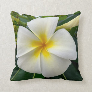 Cojín decorativo del Plumeria