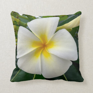 Cojín decorativo del Plumeria