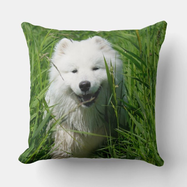 Cojín decorativo del samoyedo (Anverso)