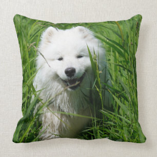 Cojín decorativo del samoyedo
