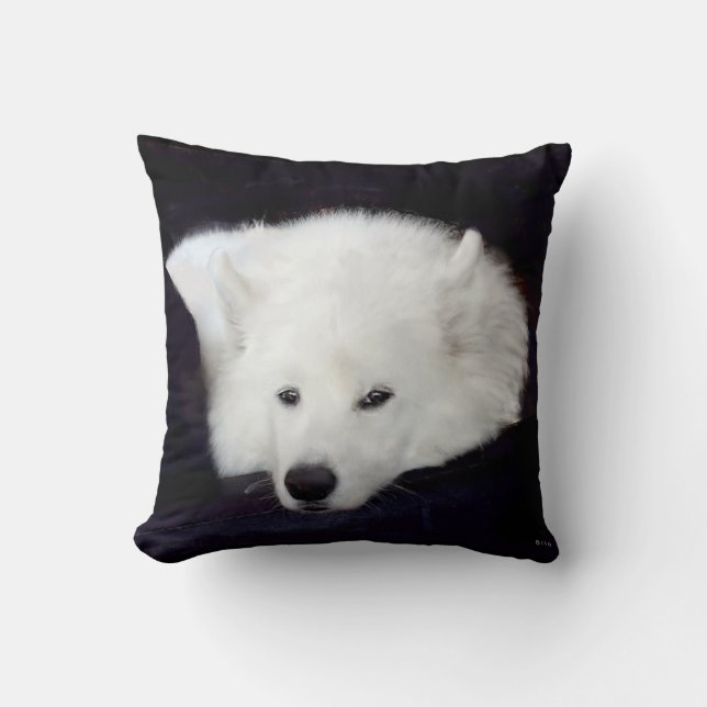 Cojín decorativo del samoyedo: Opción del (Anverso)