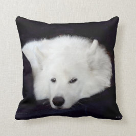 Cojín decorativo del samoyedo: Opción del