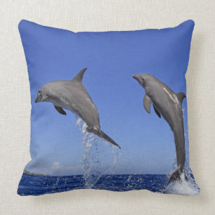 Cojín Decorativo Delfin, Delphin, un Tuemmler más grueso, Tursiops