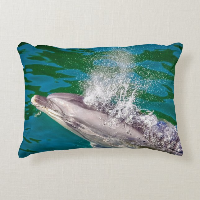 Cojín Decorativo Delfín En Milford Sound, Nueva Zelanda (Anverso)