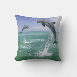Cojín Decorativo Delfines mulares Tursiops truncatus