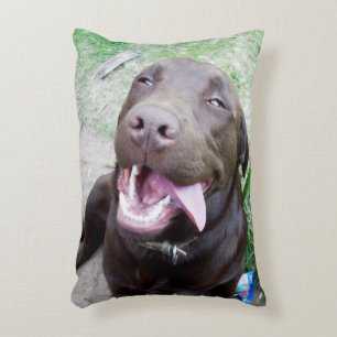 Cojín Decorativo Delicias Goofy: Cachorros de chocolate marrón,