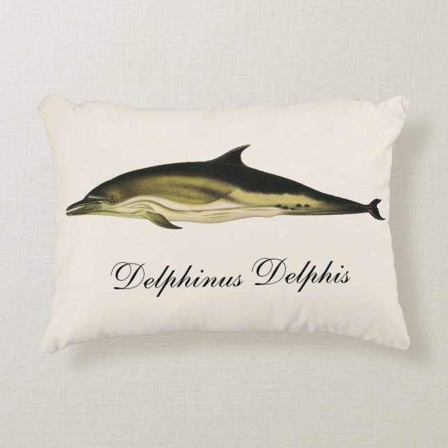 Cojín Decorativo Delphin Delphinus Delphis, mamíferos marinos vinta (Anverso)