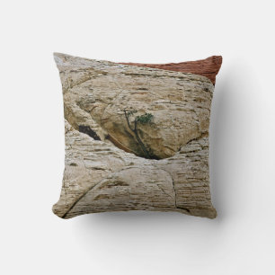 COJÍN DECORATIVO DESAFIANDO LAS PROBABILIDADES, ÁRBOL ENTRE ROCAS D