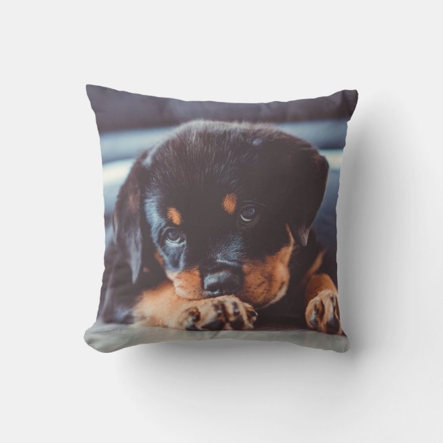 Cojín Decorativo Descanso Adorable De Perro Rottweiler (Anverso)