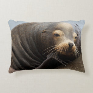 Cojín Decorativo Descanso de leones en el mar de California