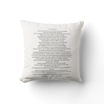 DESIDERATA PILLOW