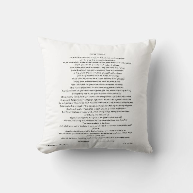 COJÍN DECORATIVO DESIDERATA PILLOW (Anverso)