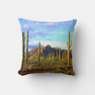 Cojín Decorativo Desierto en primavera