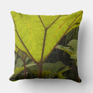 Cojín Decorativo Detalle vegetal en un jardín botánico, Ecuador 2