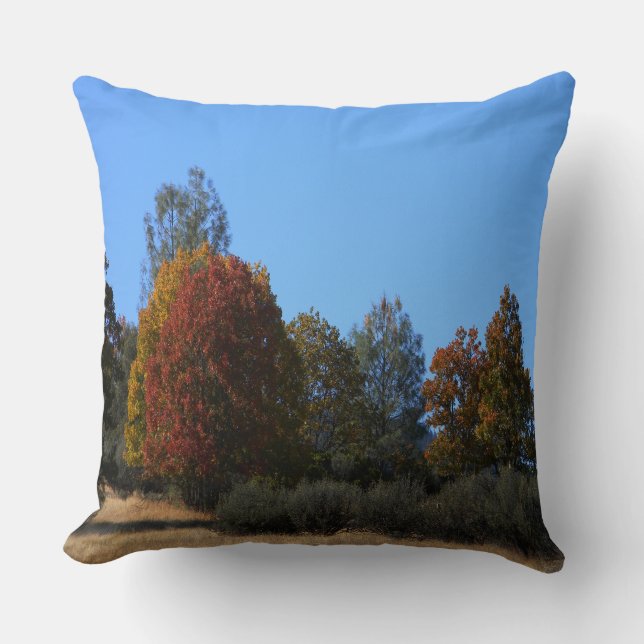 Cojín Decorativo Día de otoño en el país...... (Anverso)