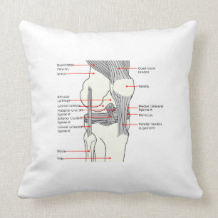 Cojín decorativo Diagrama anatómico rodilla derech