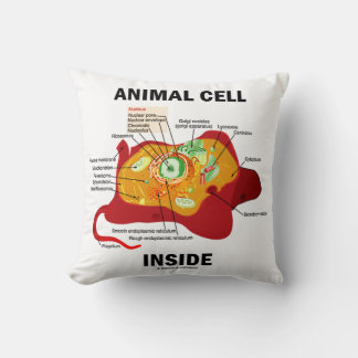 Cojín Decorativo Diagrama de células animales dentro de Eukaryote