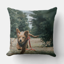 "Días del perro soñando"