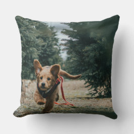 Cojín Decorativo "Días del perro soñando"