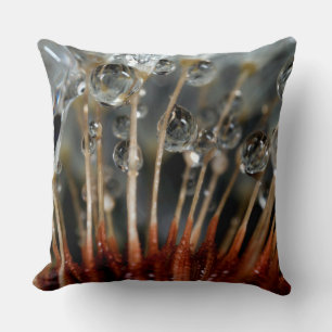Cojín Decorativo Diente de león y gotas de agua, CA
