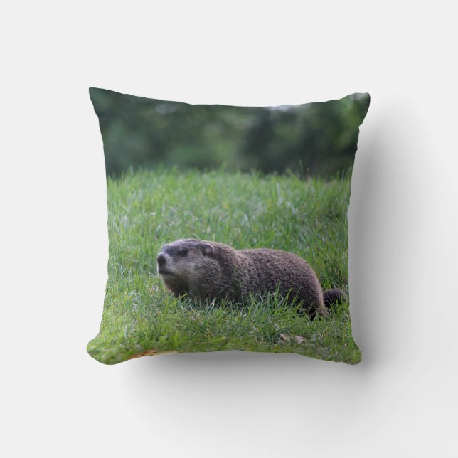 Cojín Decorativo Digger del agujero del diablo (Anverso)