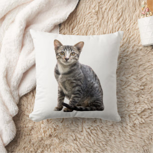 Cojín Decorativo Diseño de animales Tomcat Mascota Retrato Vintage