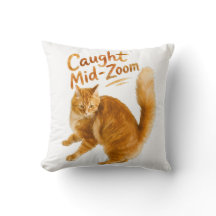 Diseño divertido de zoomies de gato naranja pillad